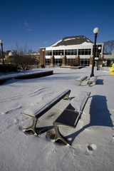 Darwin_s Playground 112.jpg